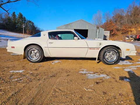 1976 Pontiac Firebird Trans Am (CC-2040314) for sale in Waconia, Minnesota