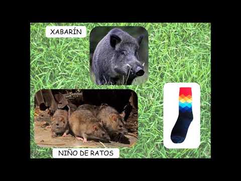 O TÍO NICANOR - PIRILAMPO