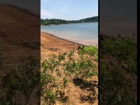 Enjoying the water at the far end of the trail