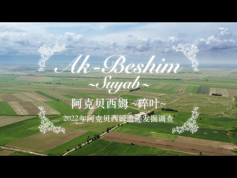 2022年 阿克贝西姆城址发掘调查 - 帝京大学丝绸之路学术调查团体_吉尔吉斯共和国 国家科学院