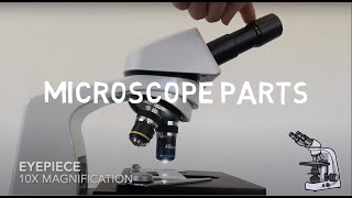 Microscope Parts - Microscopy Skills