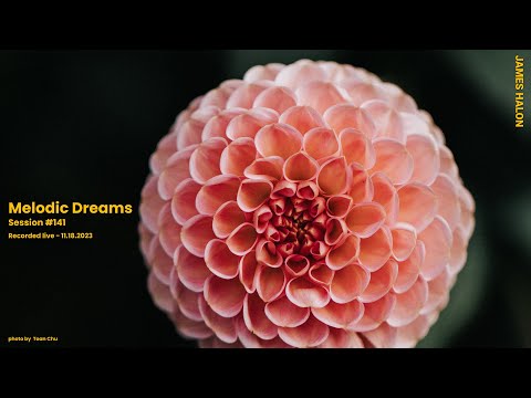 Melodic Dreams #141 (Progressive & Melodic Dreams)