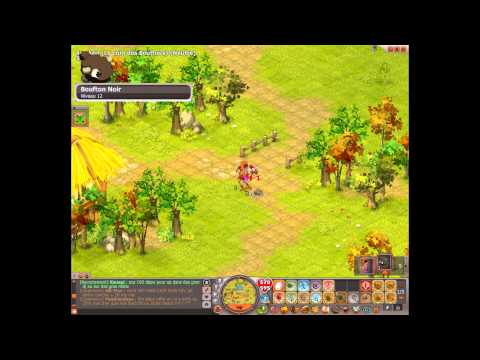 comment craft pierre d'ame dofus