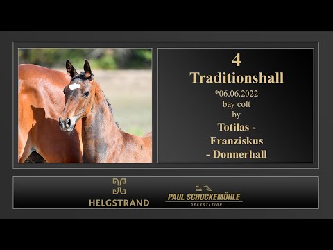 4 Traditionshall by Totilas - Franziskus - Donnerhall