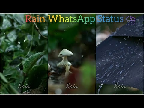 Rain whatsapp status Tamil 4k - Rain full screen WhatsApp Status