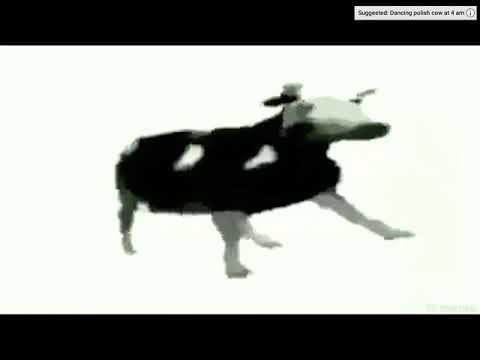 Smesna krava🤣🤣