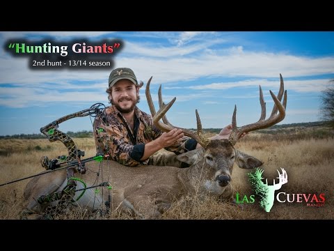 "Hunting Giants" 2nd hunt - Las Cuevas Ranch