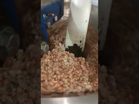 Cold Press Oil Extraction Machine