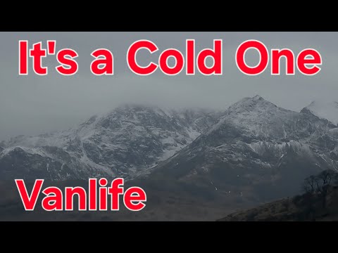 Freezing Cold and Ice / Belgian Malinois 