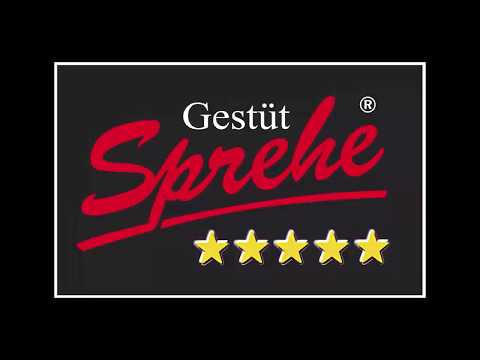 Marc Cain Hengstvorführung 2020