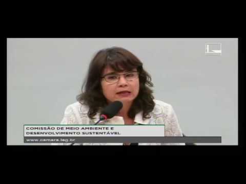 Clique para ver o vídeo: Alessandra Nilo - Seminário Agenda 2030 e ODS
