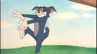 Tom và Jerry - Con vịt con nhỏ(Little Quacker, Viet sub)