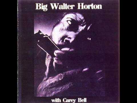 Big Walter Horton- Have a good time