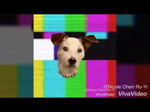 No Poverty Sr 2 Vision