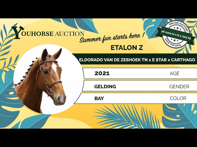 Etalon Z