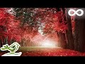 30 Minutes of Beautiful Romantic Music: Guitar Music, Violin Music, Cello Music, Piano Music ★74