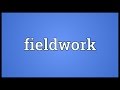 Fieldwork Meaning