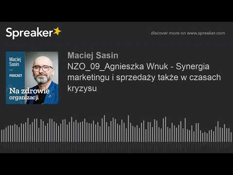 NZO_09_Agnieszka Wnuk - Synergia marketingu i sprzedaży także w czasach kryzysu