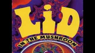 Lid - For All My Life