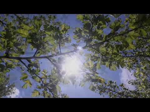 Lake Sauaieu, Spring 🌸