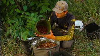Ловля карпа. лучшая приманка для карпать