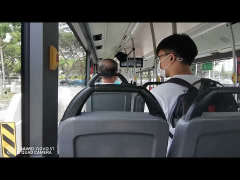 [SBST] Brutal Hellfire ZF Thrashing - SG1767C On Service 102 - MAN NL323F A22 Euro 6 Gemilang