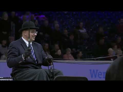 HK 2024   Horses2Fly KFPS sportcompetition showdriving part 2    German