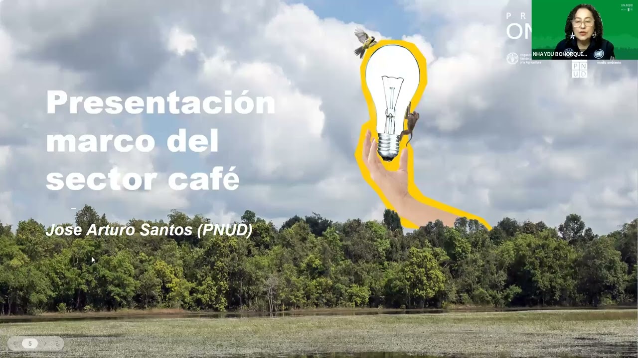 Café libre de Deforestación: De la Finca al Consumidor | Webinar ONU-REDD (Viernes 13)