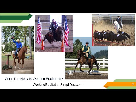 What The Heck Is Working Equitation?
