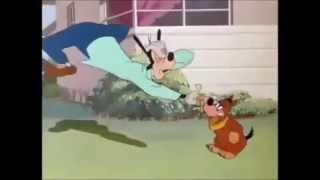 Shane Fenton & The Fentones - I'm A Moody Guy (1961)