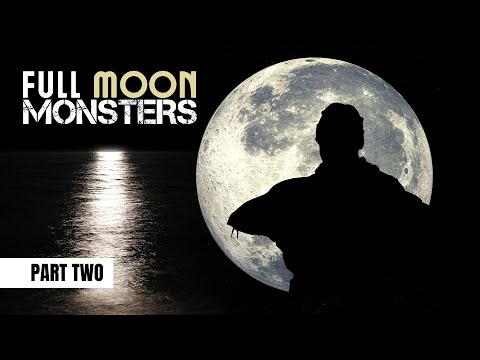 Pecky's Session of a Lifetime, Part 2 of 2 | Trois Iles | Extract