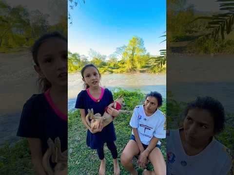 Me robaron mi perrito 😱#shorts #video #youtubeshorts #viralvideo