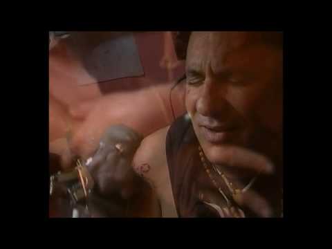 TATTOO THE PRESIDENT by ALE