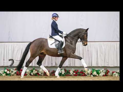 02  Dagur Wallach v.  Dankeschön - Hohenstein/T.