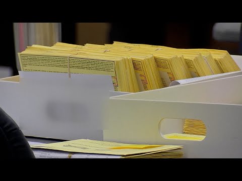 Texas election officials struggle to process backlog of voter registrations