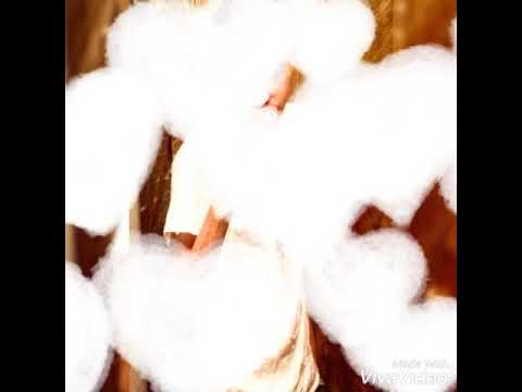 Myanmar new Song 2020