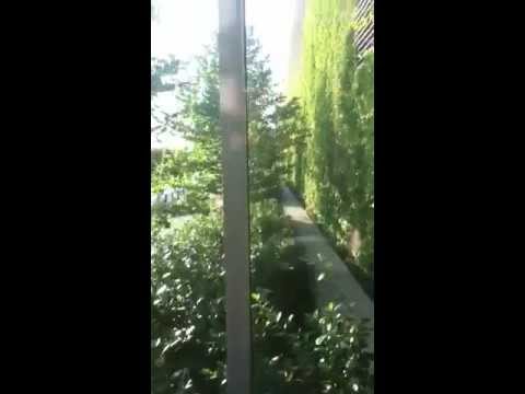 Schindler HT 400A Traction Glass Elevator at Whole Foods Chicago