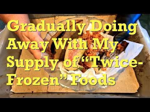 53-day European nightcrawler system fed after 12 days - worm farm vermicompost