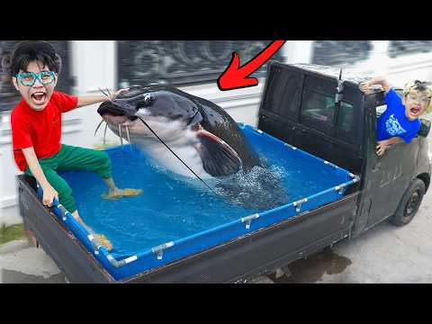 PERTAMAKALI BIKIN KOLAM LELE GIGAS DI ATAS PICK UP BERJALAN!!! SORENYA HAMPIR LOMPAT KE JALAN!!!