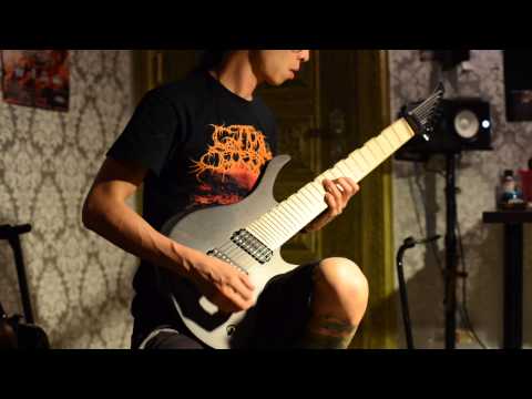 Emperor - An Elegy of Icaros (Skervesen BKP Painkiller + Kemper Guitar Cover) video thumbnail