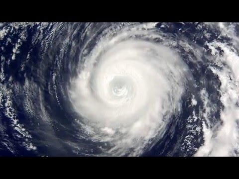 Chaos Theory - You Can't Script This (WSL Official)