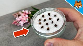 EVERYONE asks me why my place smells SO GOOD💥(THAT'S my SECRET)🤯