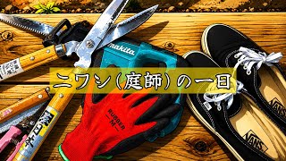 [DIY] ニワシの一日に密着🌳連休前に庭木の剪定してみた🪚