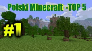 preview picture of video 'Polski Minecraft TOP 5 #01 Domek z ogrodem'