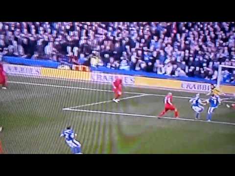 Steven Naismith Amazing Goal (Liverpool 2 - 2 Everton) 28/10/2012