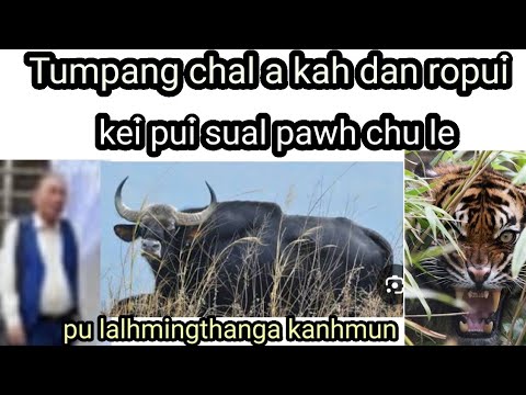 Tumpang chal leh Sakei sual kahna ropui Pu Lalhmingthanga Kanhmun p1