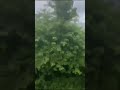 Kerala Train Journey Scintillating View Viral Video Kerala