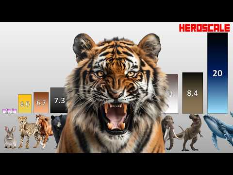 Real Life Animals POWER LEVELS All Animals Weakest to Strongest