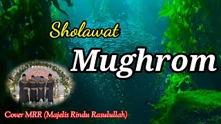 Download lagu Sholawat Mughrom - Cover MRR (Majelis Rindu Rasulullah) mp3 Download lagu Sholawat Mughrom - Cover MRR (Majelis Rindu Rasulullah) mp3
