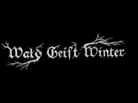 WALD GEIST WINTER  -  In so manch rauer Nacht